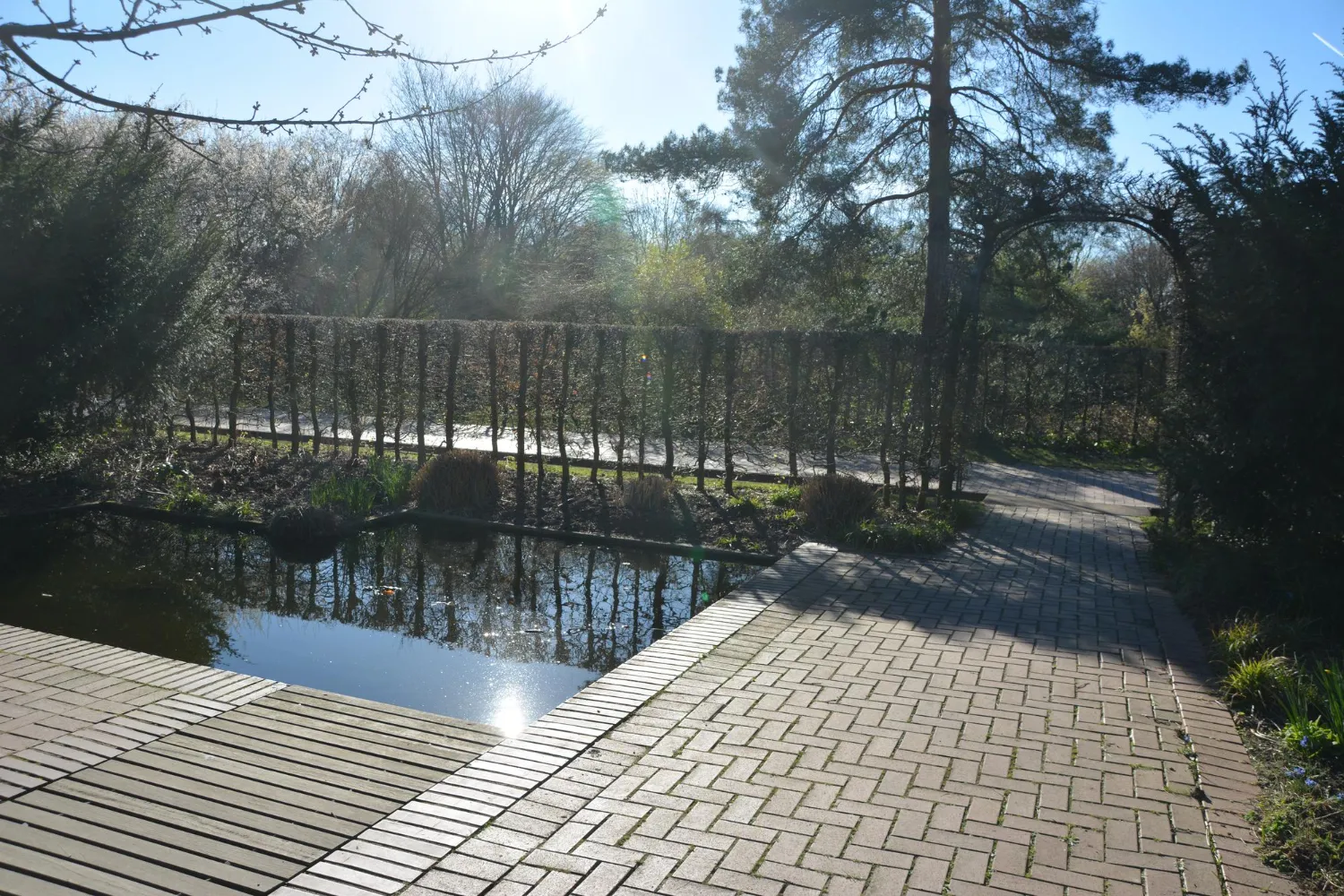 Garden Landscaping
