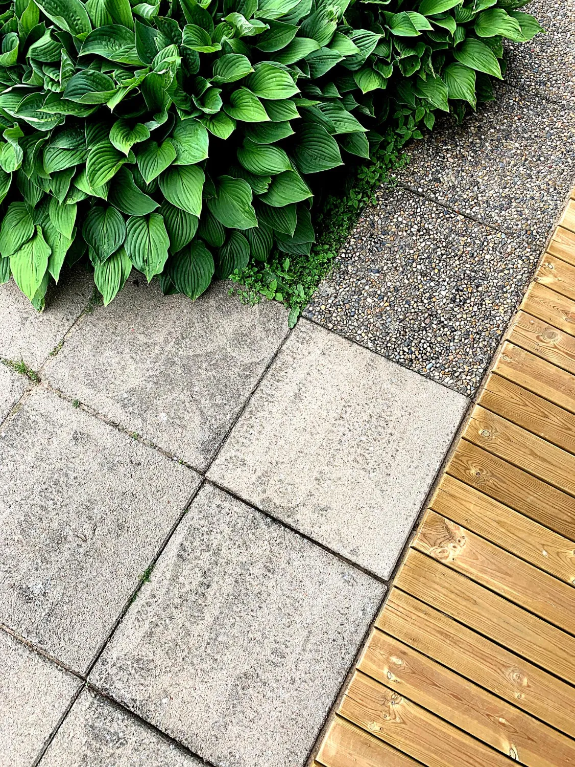 Garden Landscaping